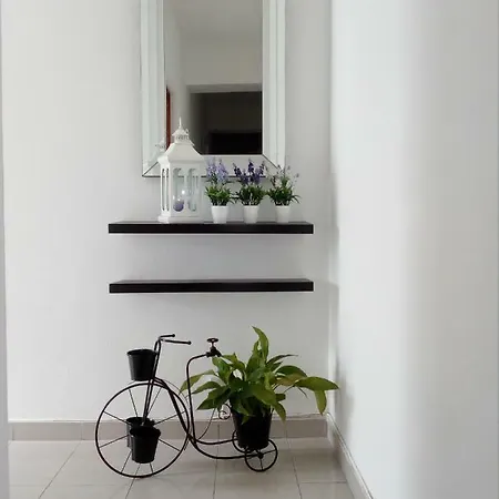 Couto * Ponta Delgada