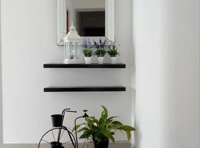 Couto * Ponta Delgada